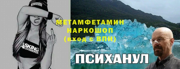 индика Майский