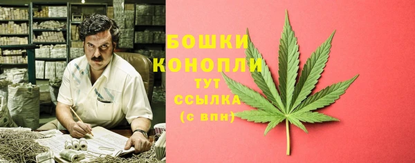 ECSTASY Липки
