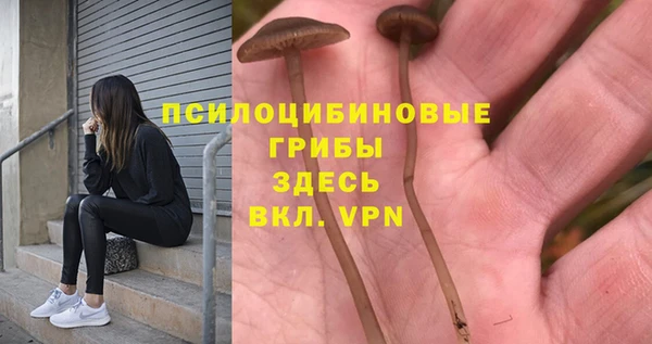 ECSTASY Липки