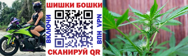 где купить наркотик  Называевск  Бошки марихуана гибрид 